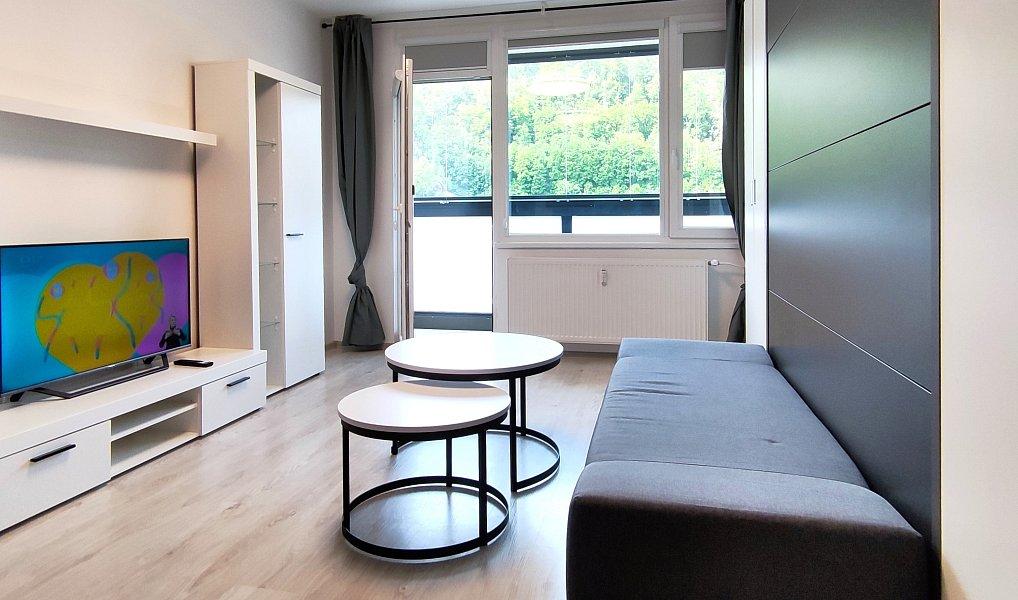 1+kk, Karla Čapka 1222/7, Děčín, Ústecký kraj