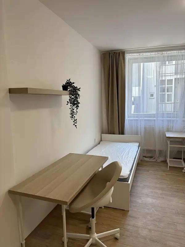 2+1, Rumiště, Brno-město, Jihomoravský kraj
