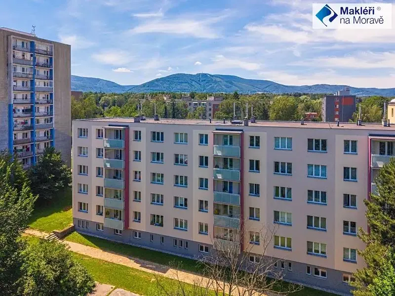2+1, Lidická 547, Třinec, Frýdek-Místek, Moravskoslezský kraj