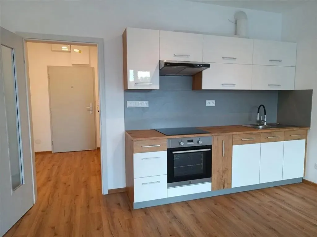 1+kk, Riegrova, České Budějovice, Jihočeský kraj