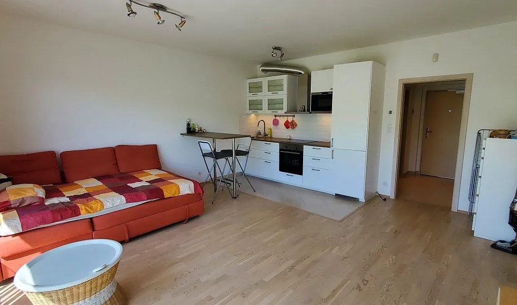 1+kk, Olšanská, Praha 3 - Žižkov
