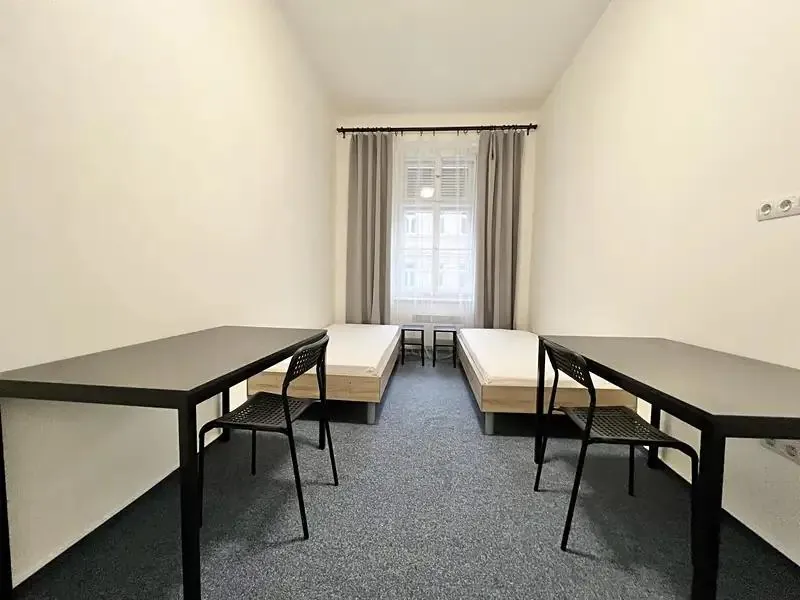 2+1, Václavská, Brno-město, Jihomoravský kraj