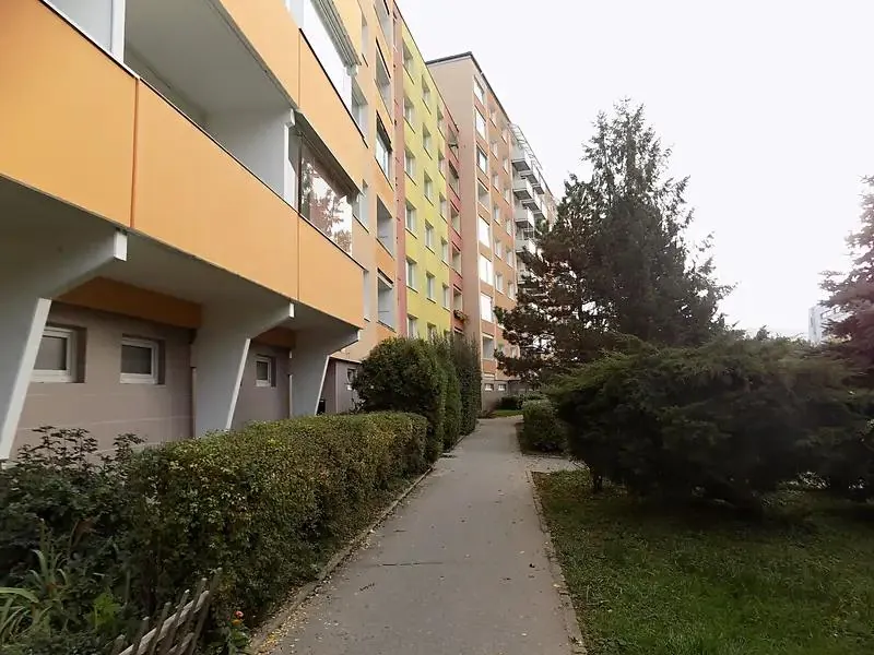 1+1, Štouračova, Brno-město, Jihomoravský kraj