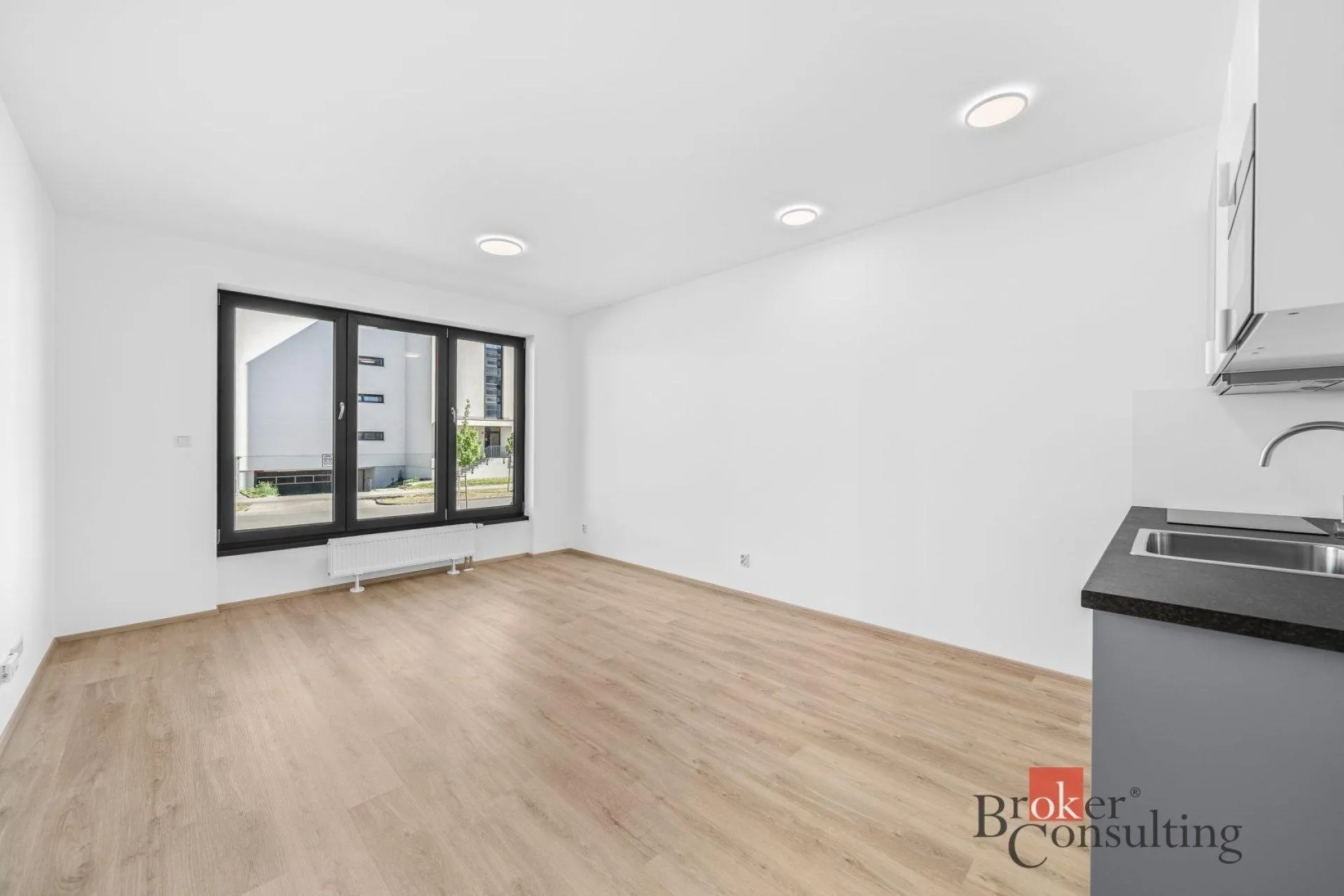 1+kk, Železná 3068/16, Plzeň-město, Plzeňský kraj