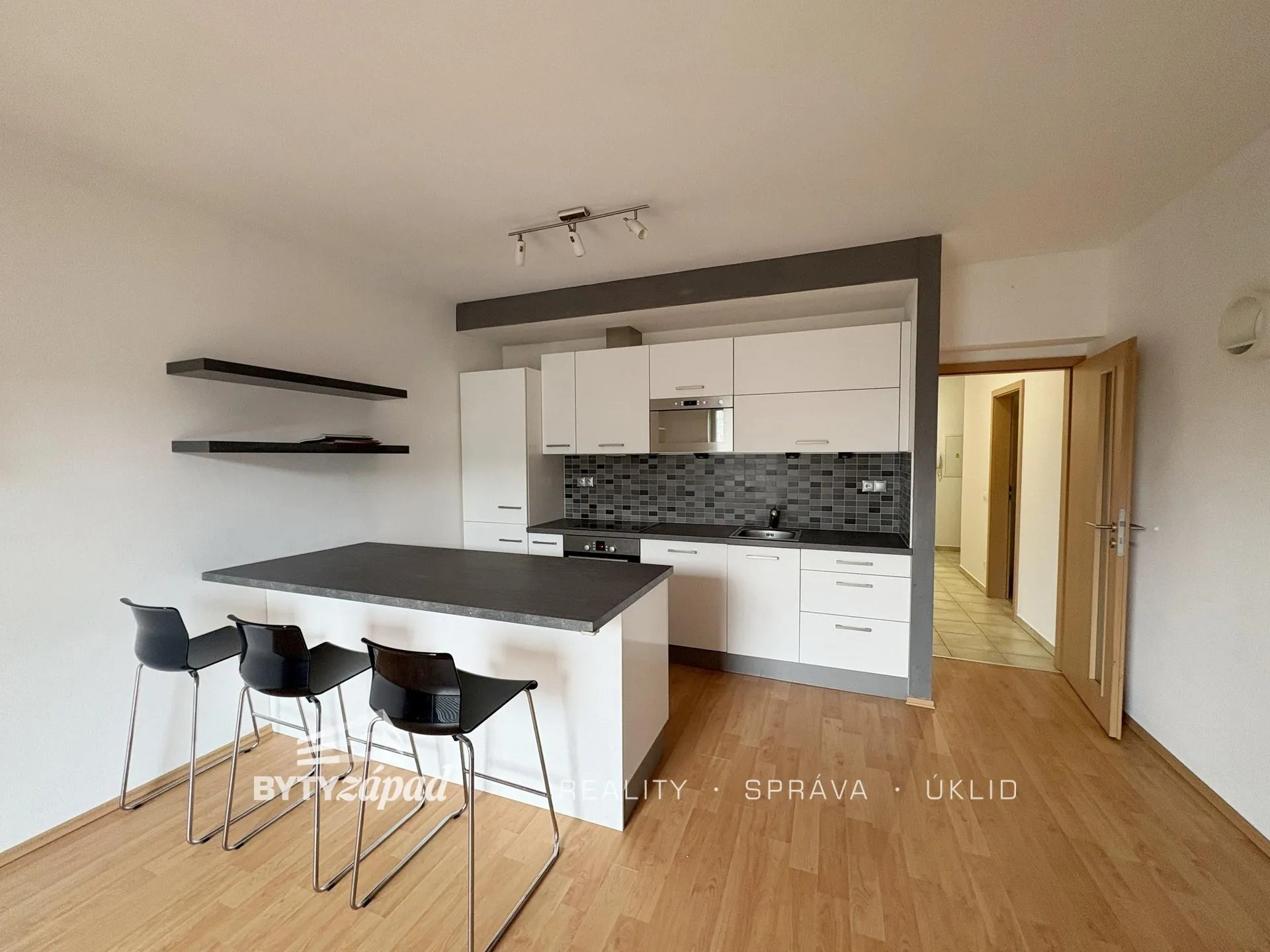 2+kk, U Velkého rybníka 2230/117, Plzeň-město, Plzeňský kraj