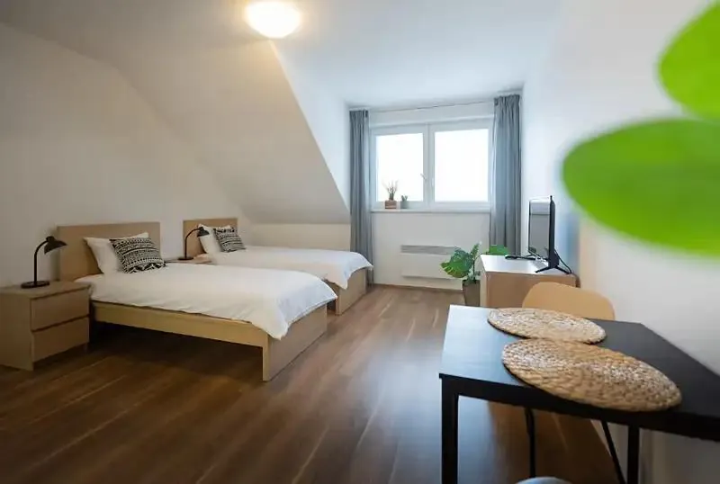 1+kk, Pode Mlýnem 777/9, Olomouc, Olomoucký kraj