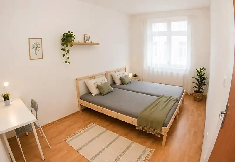 Pokoj, Spolková, Brno-město, Jihomoravský kraj