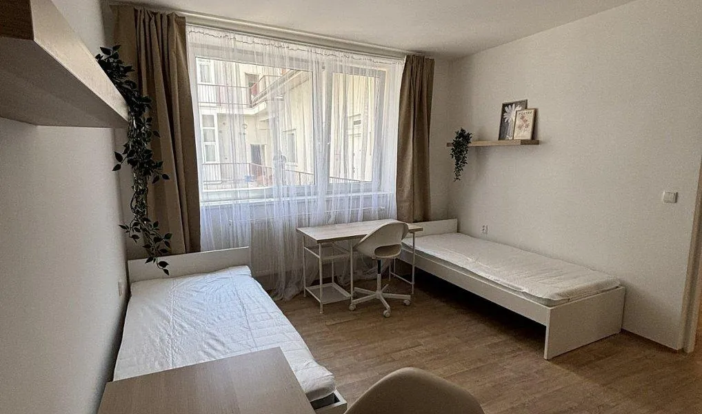Pokoj, Rumiště, Brno-město, Jihomoravský kraj