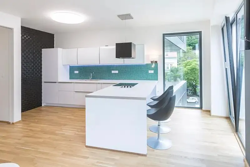 2+kk, Pernerova 397/28, Praha 3 - Žižkov