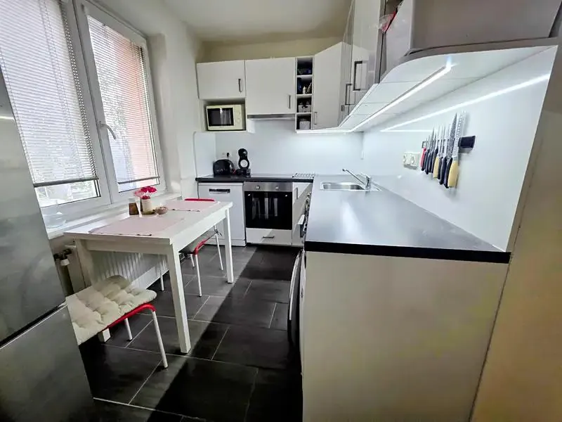 3+kk, Svatopluka Čecha 1938/106, Brno-město, Jihomoravský kraj
