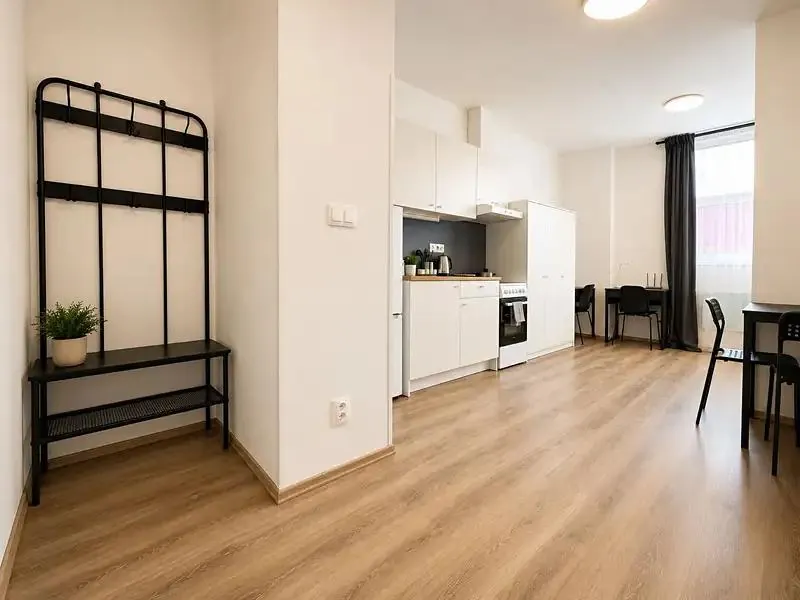 1+kk, Václavská 233/10, Brno-město, Jihomoravský kraj