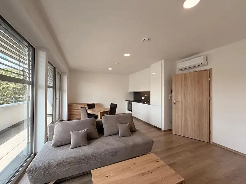1+kk, Vodárenská 467, Mladá Boleslav, Středočeský kraj