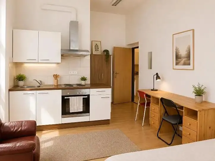 Pokoj, Peckova 296/15, Praha 8 - Karlín