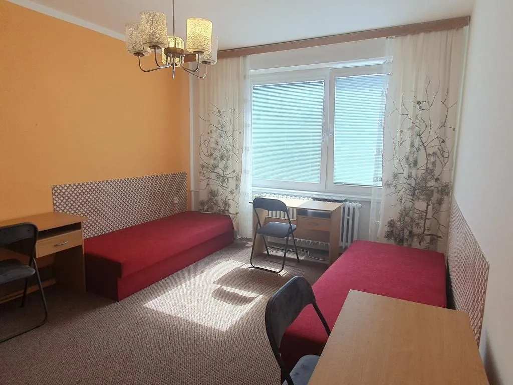 Atypický, Palackého třída 2614/115, Brno-město, Jihomoravský kraj