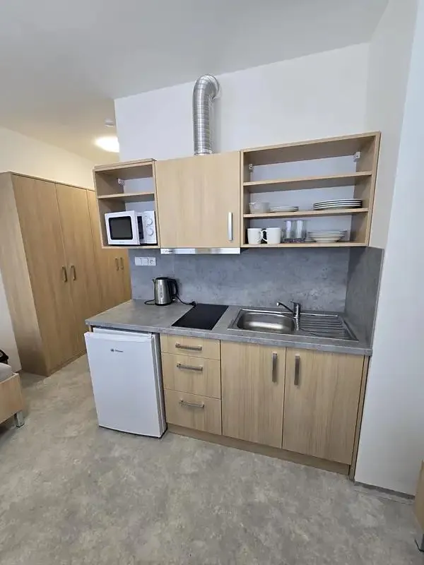 1+kk, Železniční 2658/17, Plzeň-město, Plzeňský kraj
