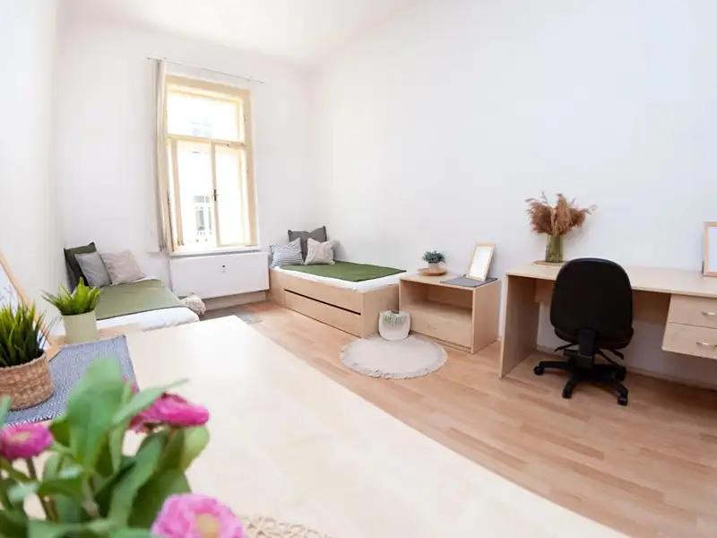 atypický, Dominikánské náměstí, Brno-město, Jihomoravský kraj