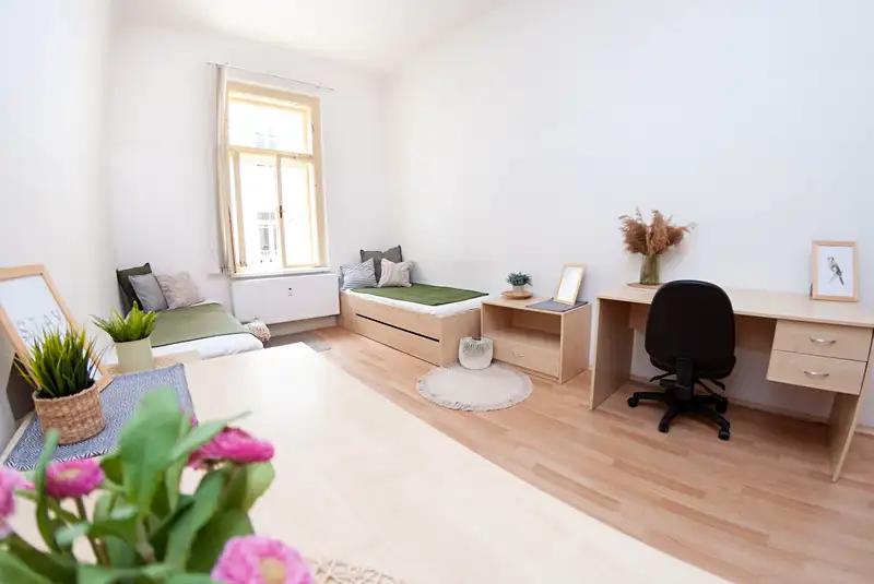 Pokoj, Dominikánské náměstí, Brno-město, Jihomoravský kraj