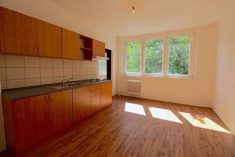 1+1, Plzeňská, Ostrava-město, Moravskoslezský kraj