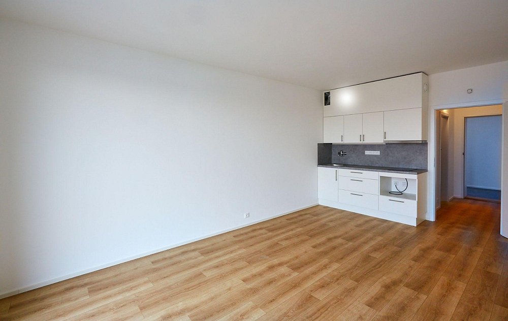1+kk, Pod soutratím, Praha 10 - Vršovice