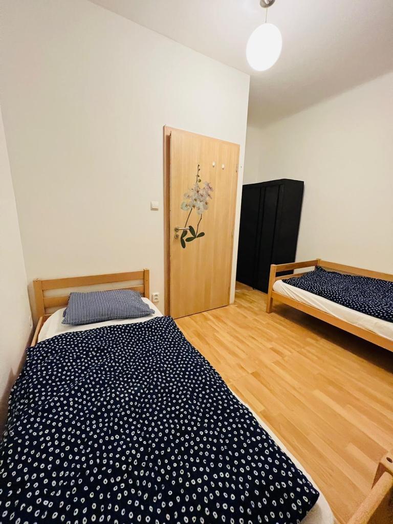 3+1, Čejkova, Brno-město, Jihomoravský kraj