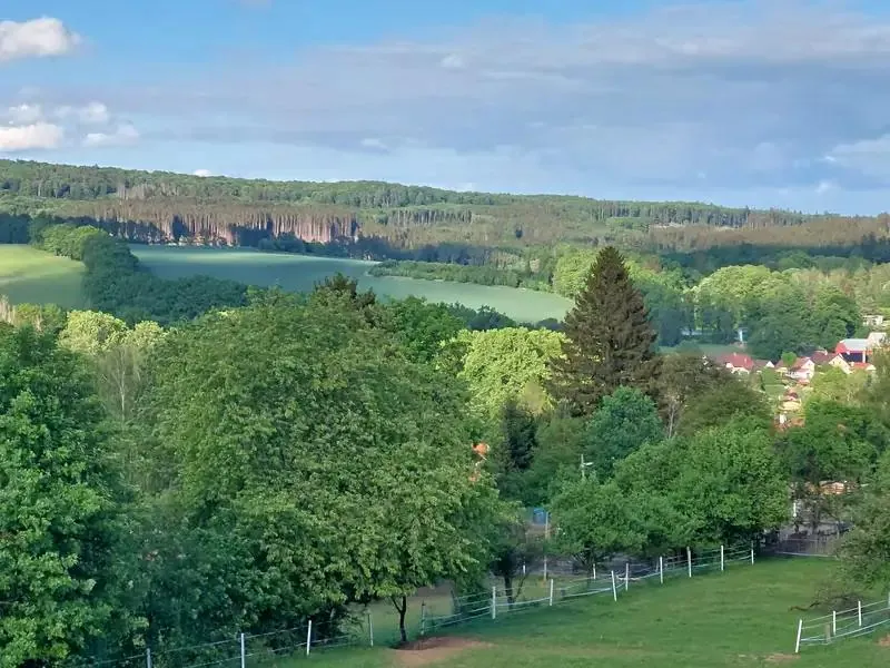 2+kk, Havlíčkova, Třešť, Jihlava, Kraj Vysočina