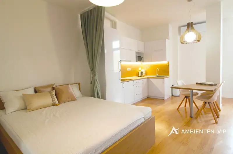 1+kk, Kobližná, Brno-město, Jihomoravský kraj