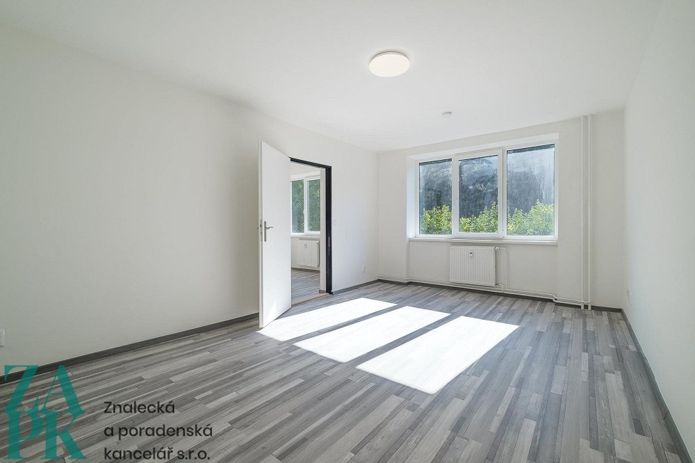 1+1, Purkyňova, Ústí nad Labem, Ústecký kraj