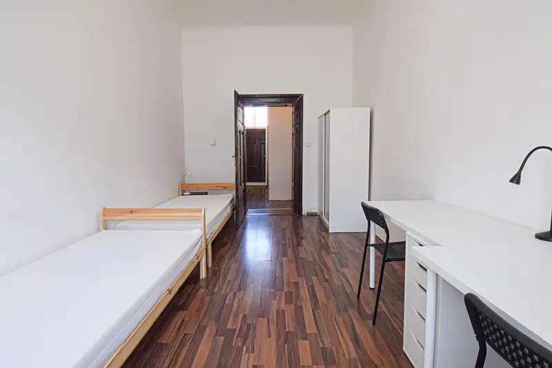 1+1, Václavská, Brno-město, Jihomoravský kraj