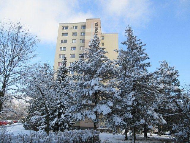1+1, Letná, Liberec, Liberecký kraj