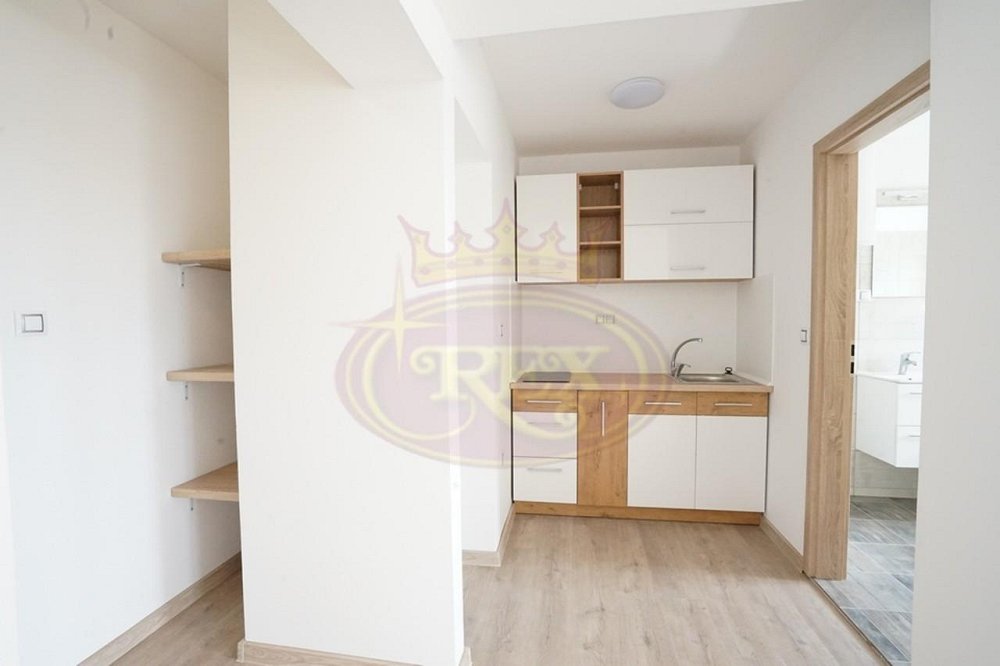 1+kk, Revoluční, Černožice, Hradec Králové, Královéhradecký kraj