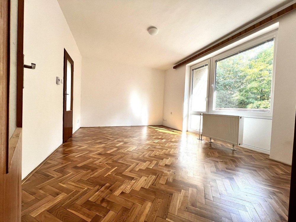 3+1, U Borku, Pardubice, Pardubický kraj