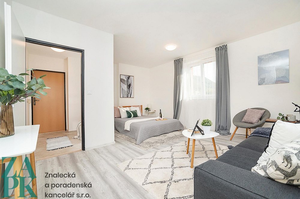 1+kk, Purkyňova, Ústí nad Labem, Ústecký kraj