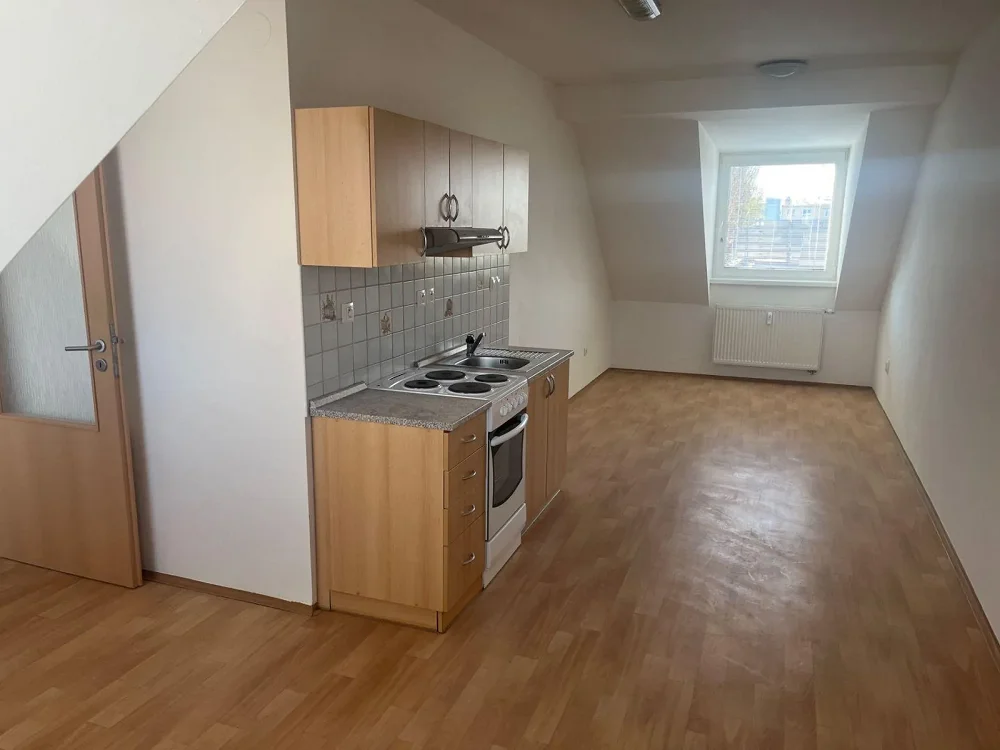 1+kk, Hálkova, Brno-město, Jihomoravský kraj