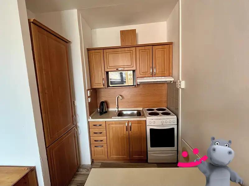 1+kk, U Rybníka, Bruntál, Moravskoslezský kraj