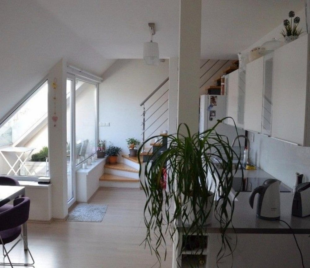 2+kk, Kounicova, Brno-město, Jihomoravský kraj