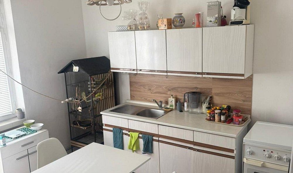 1+1, Demlova, Brno-město, Jihomoravský kraj