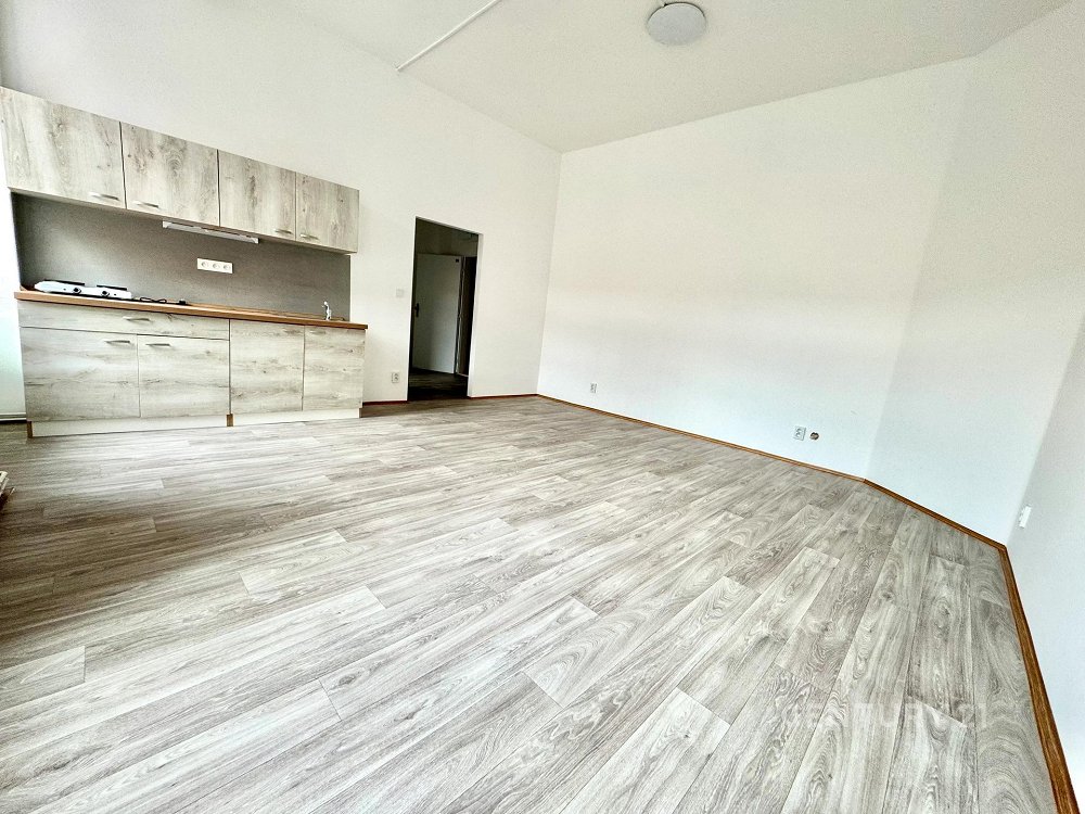 1+kk, Tkalcovská, Brno-město, Jihomoravský kraj