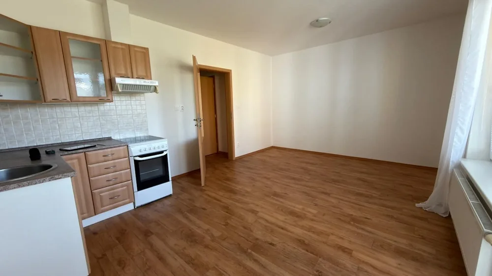 1+kk, Landfrasova, Jindřichův Hradec, Jihočeský kraj