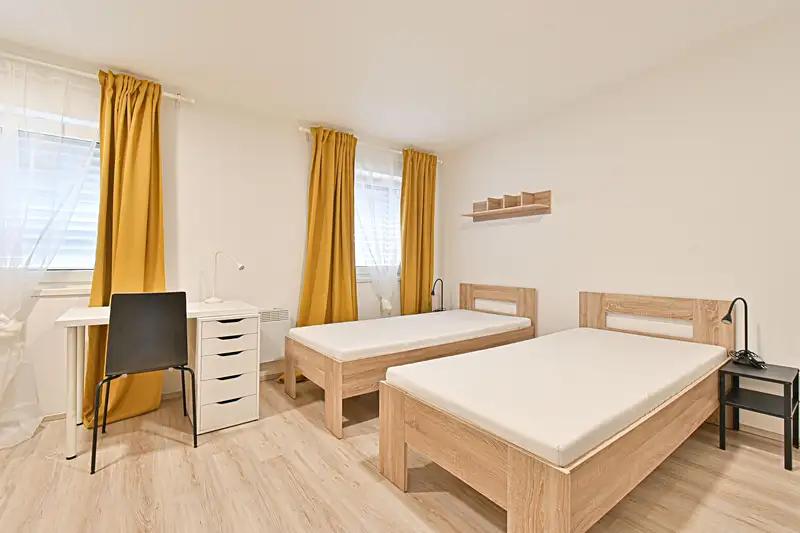 1+kk, Václavská, Brno-město, Jihomoravský kraj
