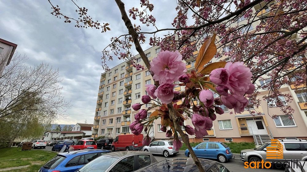 1+1, Zahradní, Ústí nad Labem, Ústecký kraj