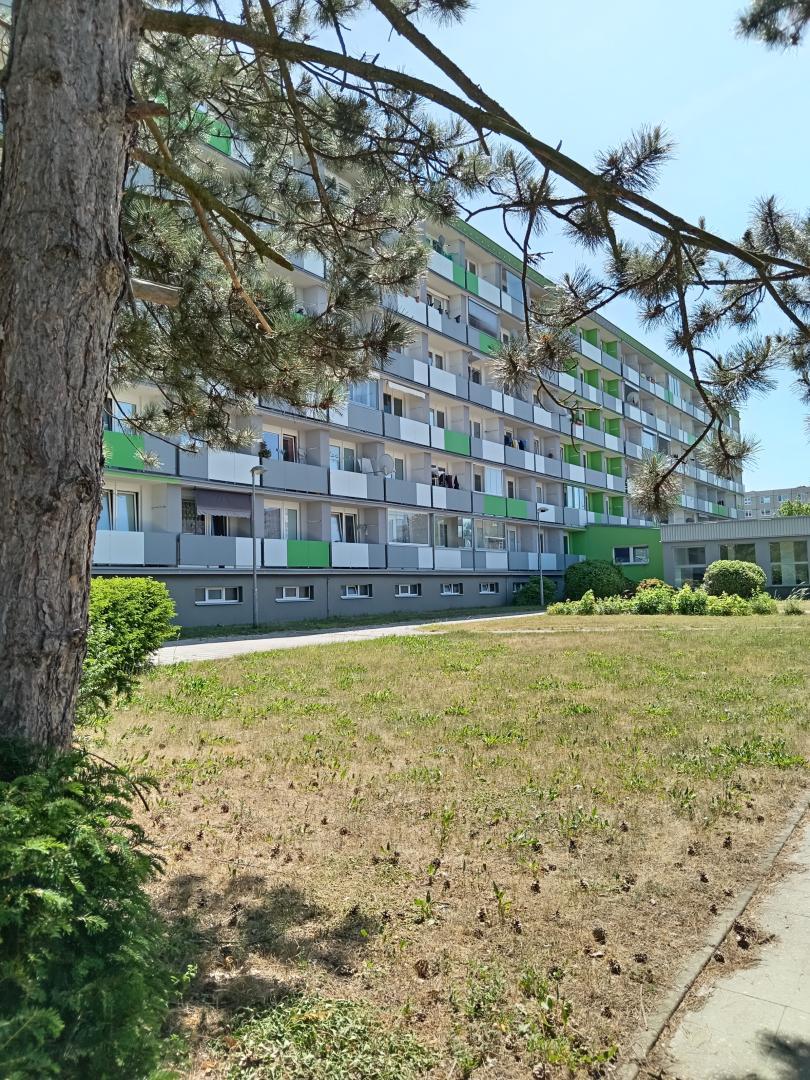 1+kk, Brožíkova, Hradec Králové, Královéhradecký kraj
