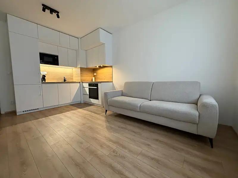 1+kk, Spolková, Brno-město, Jihomoravský kraj