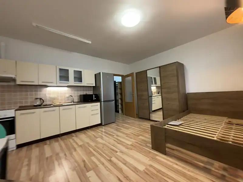1+kk, Goldscheiderova, Plzeň-město, Plzeňský kraj