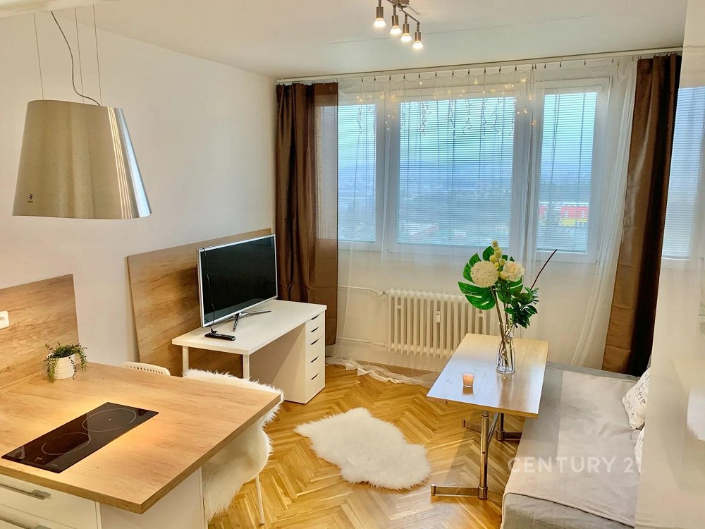 1+kk, Halasovo náměstí, Brno-město, Jihomoravský kraj