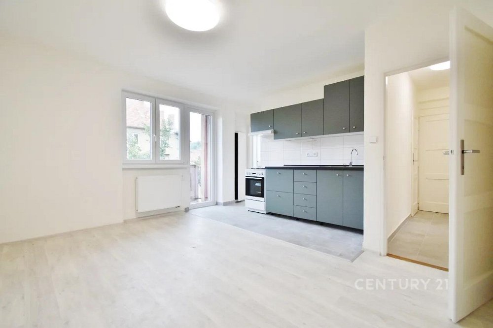 2+1, Došlíkova, Brno-město, Jihomoravský kraj