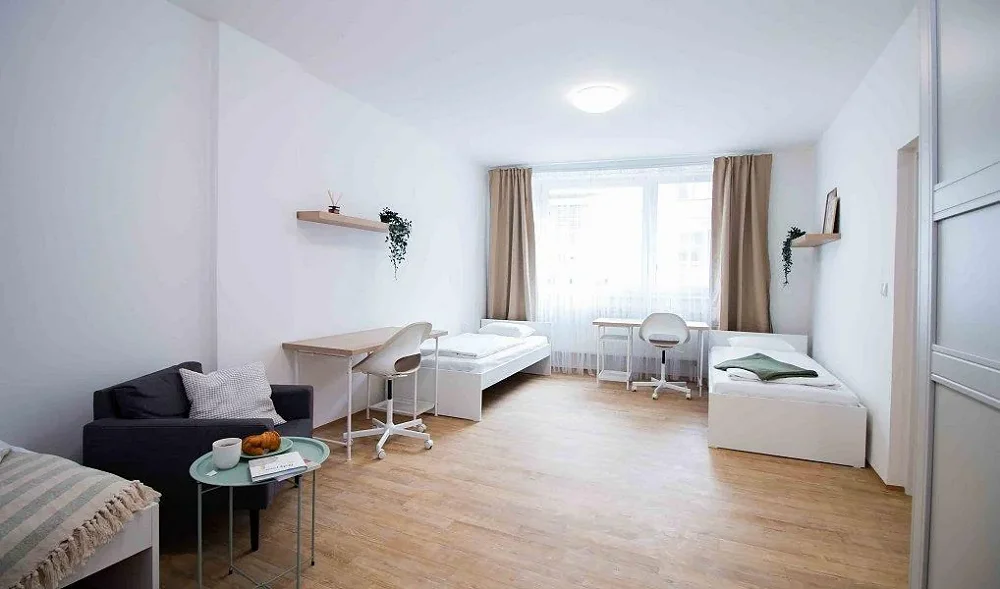 2+1, Rumiště, Brno-město, Jihomoravský kraj