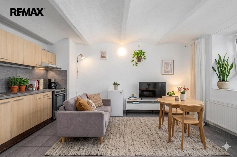 1+kk, Riegrova, České Budějovice, Jihočeský kraj