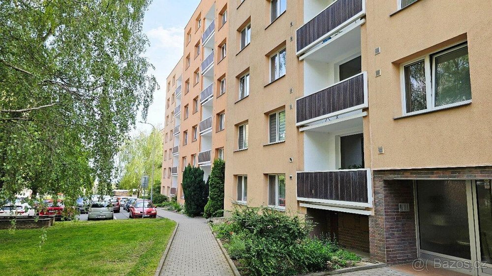 1+1, Renčova, Brno-město, Jihomoravský kraj