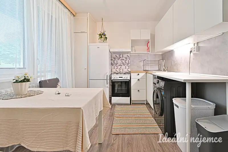 1+1, Rerychova, Brno-město, Jihomoravský kraj