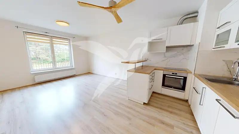 1+kk, Špačková, Plzeň-město, Plzeňský kraj